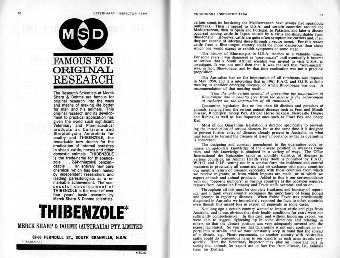 1964 Page 10 11